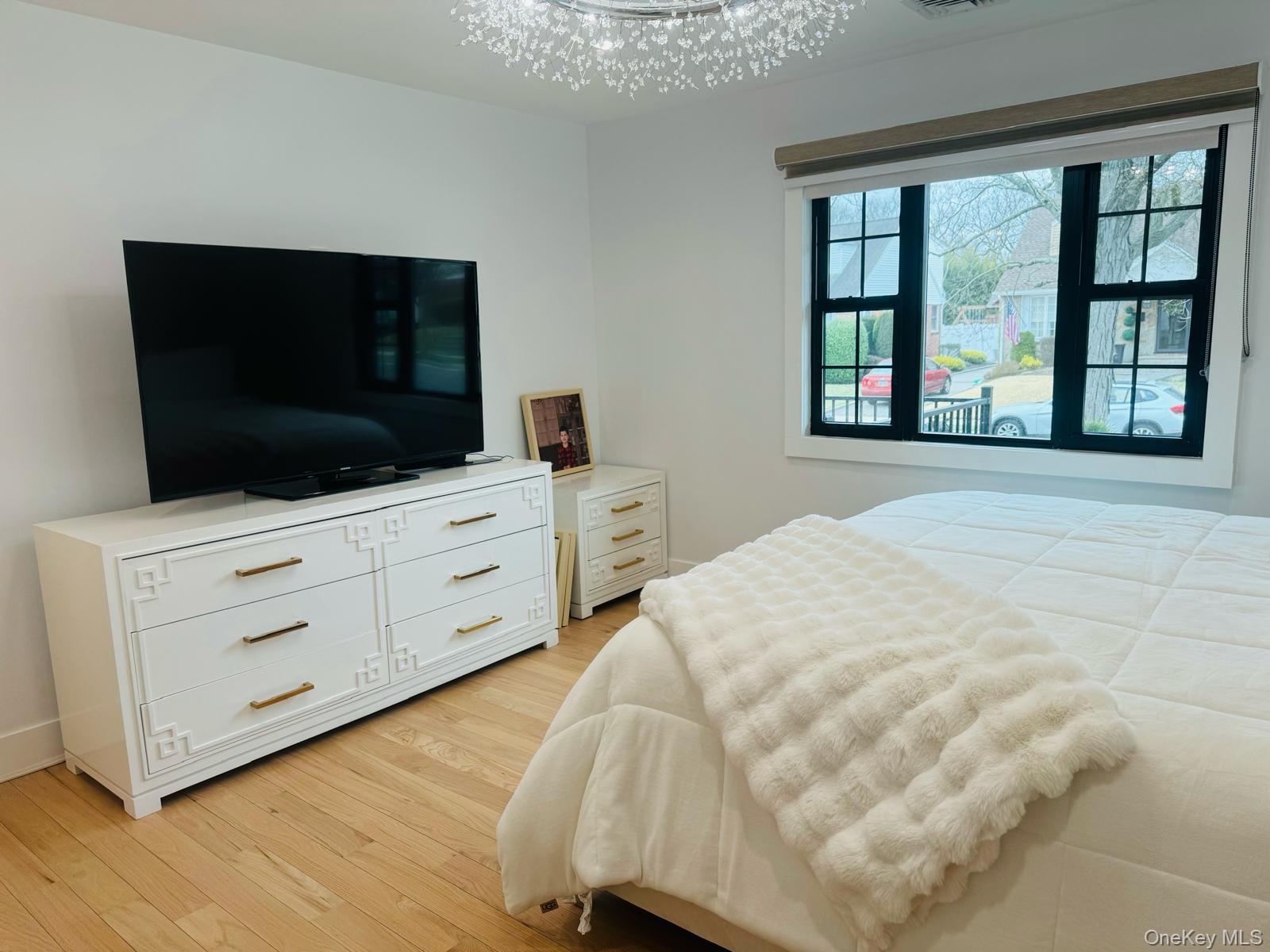 #19 photo, 63 Pembrook Drive, Mineola , NY 11501