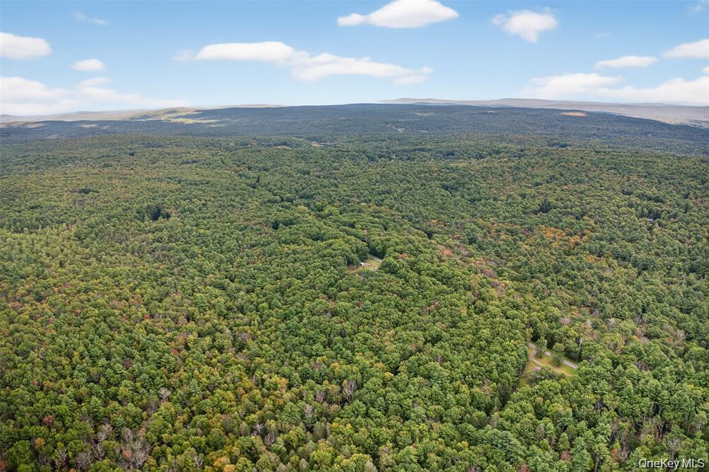 #10 photo, 154 Schwabie Turnpike, Kerhonkson , NY 12446