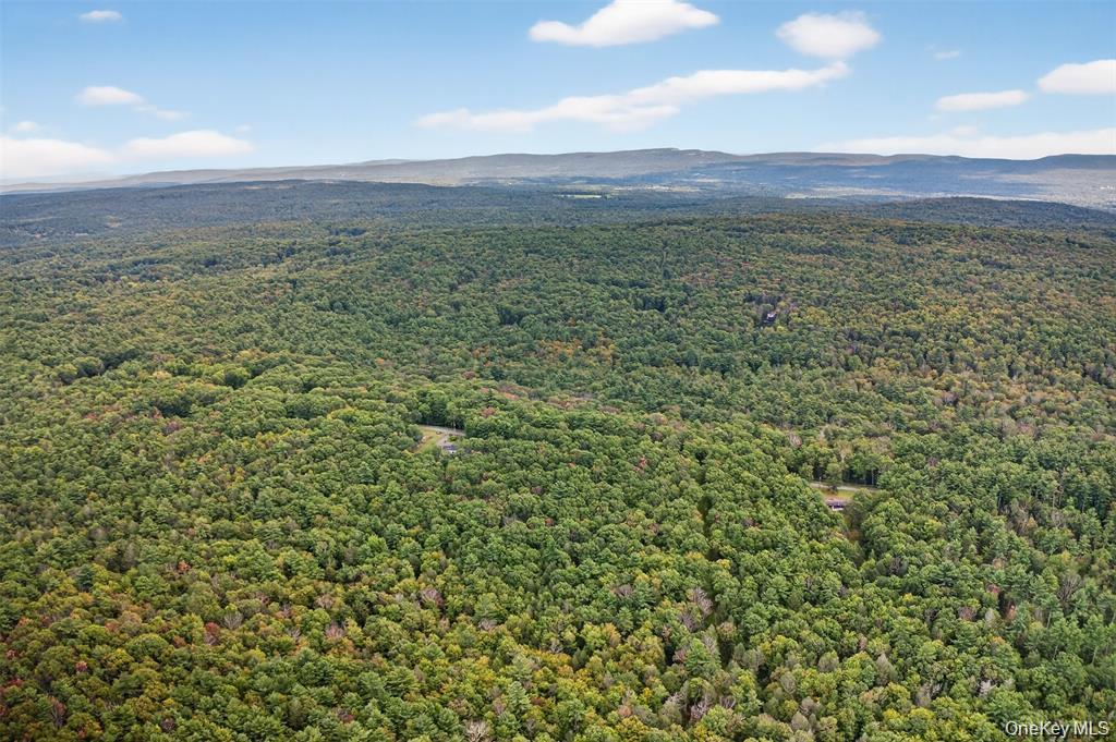 #11 photo, 154 Schwabie Turnpike, Kerhonkson , NY 12446