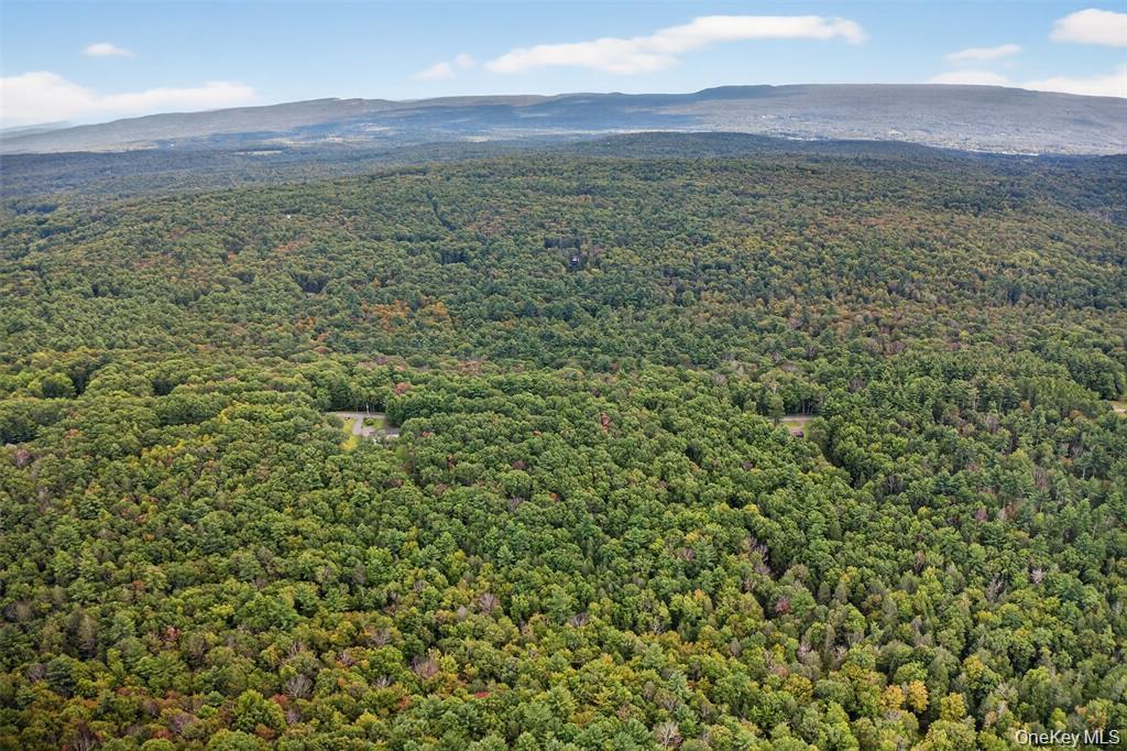 #12 photo, 154 Schwabie Turnpike, Kerhonkson , NY 12446