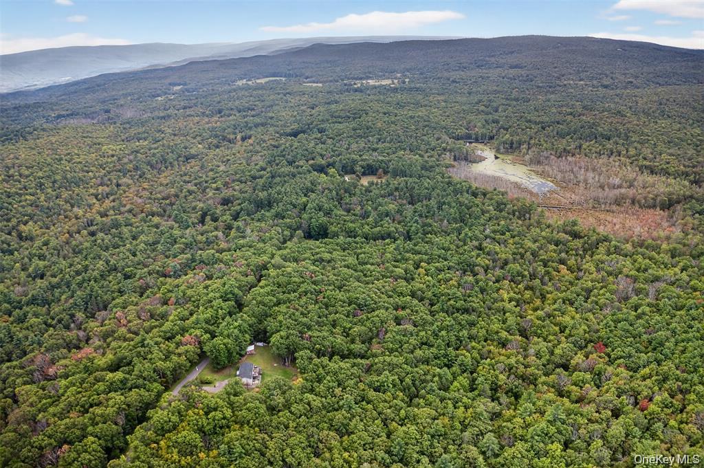 #13 photo, 154 Schwabie Turnpike, Kerhonkson , NY 12446