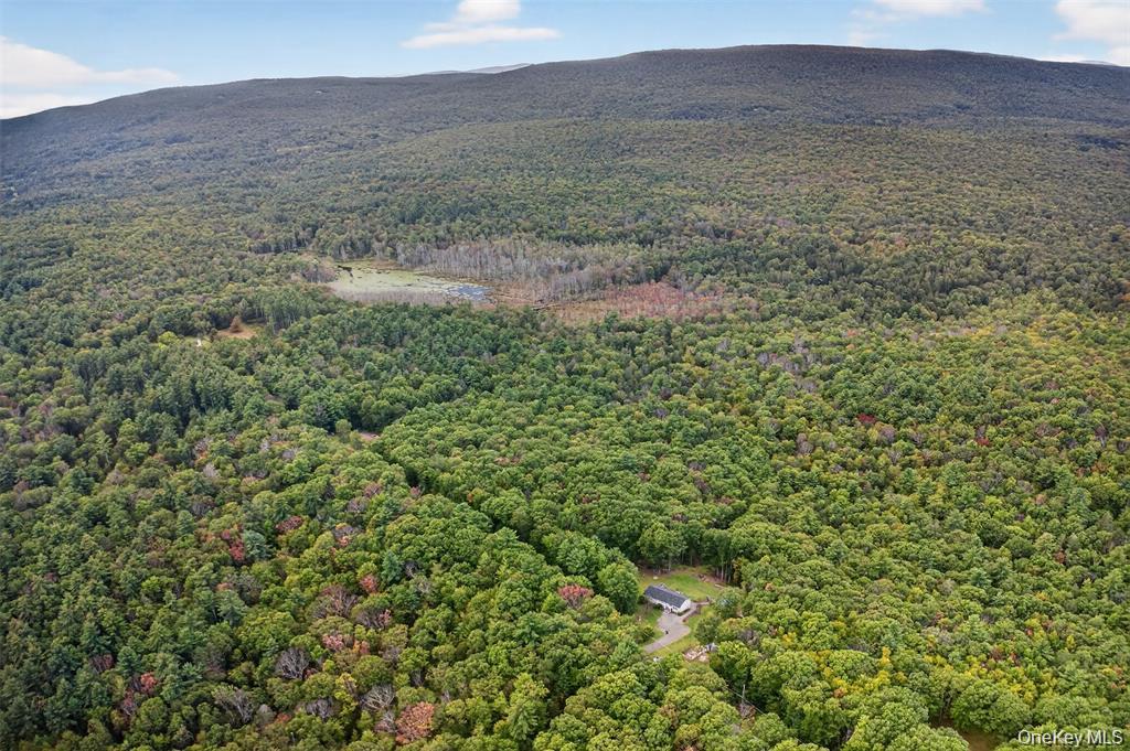 #14 photo, 154 Schwabie Turnpike, Kerhonkson , NY 12446