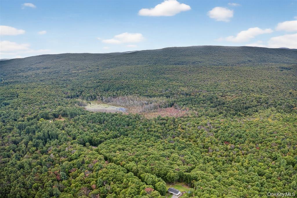 #15 photo, 154 Schwabie Turnpike, Kerhonkson , NY 12446