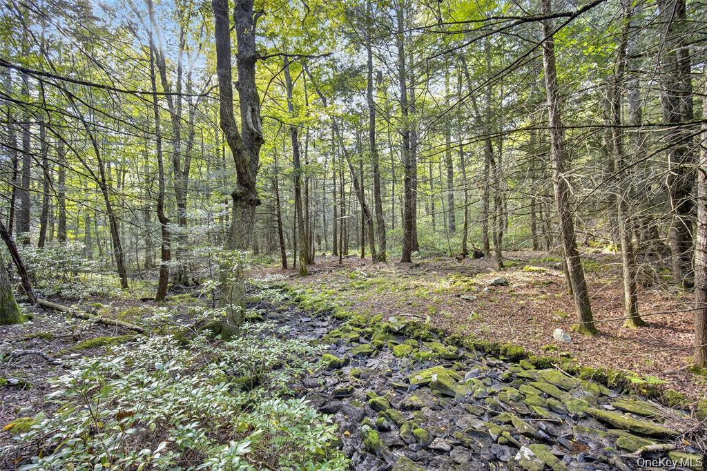 #2 photo, 154 Schwabie Turnpike, Kerhonkson , NY 12446