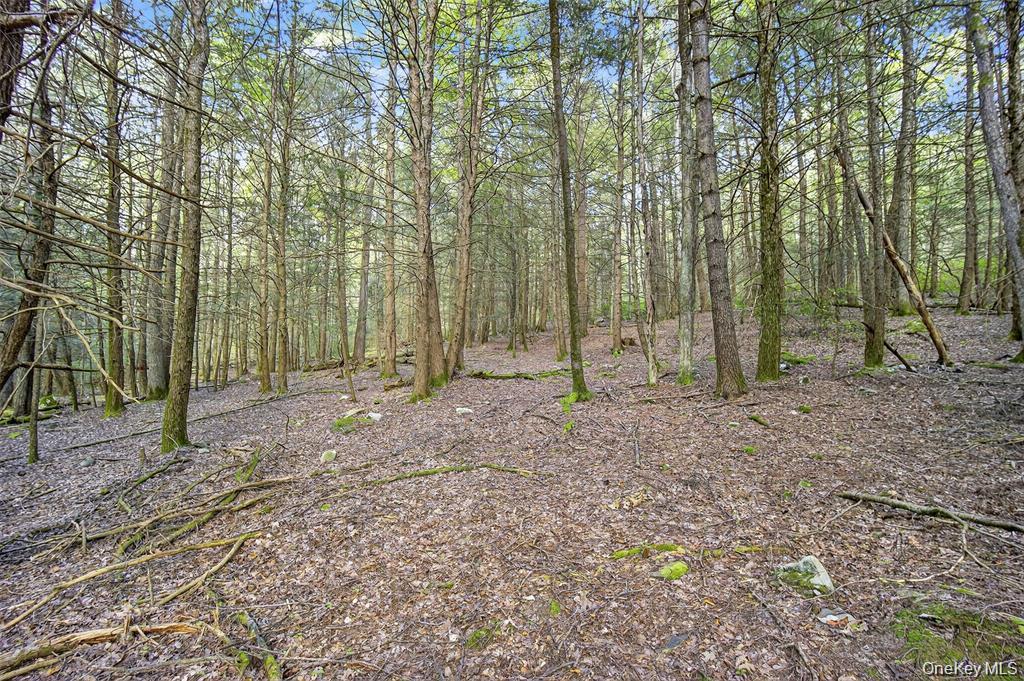 #3 photo, 154 Schwabie Turnpike, Kerhonkson , NY 12446