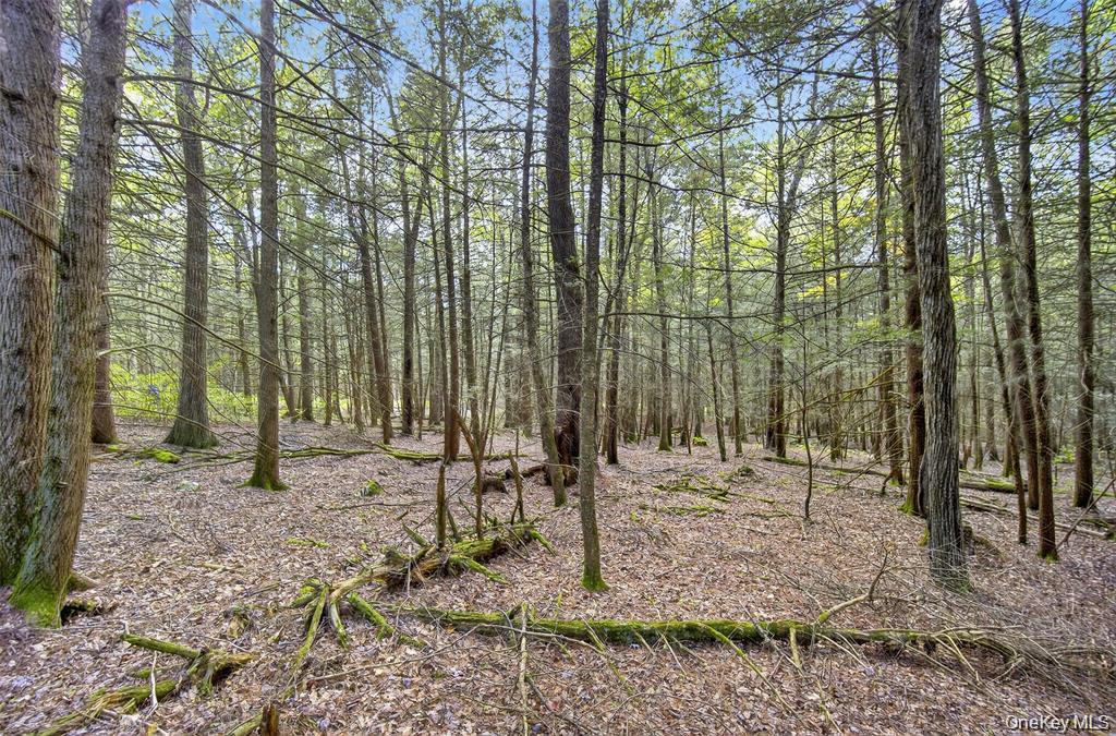 #4 photo, 154 Schwabie Turnpike, Kerhonkson , NY 12446