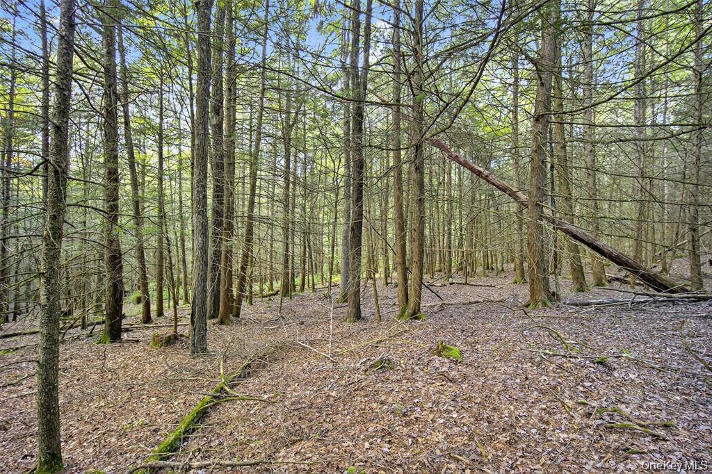 #5 photo, 154 Schwabie Turnpike, Kerhonkson , NY 12446