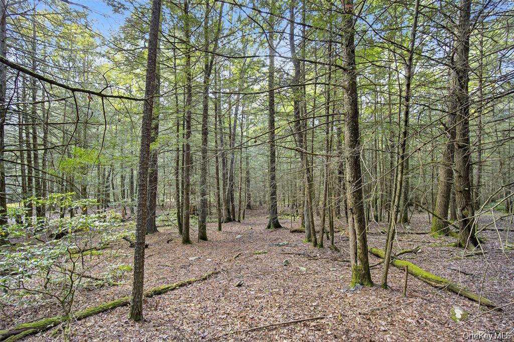 #6 photo, 154 Schwabie Turnpike, Kerhonkson , NY 12446