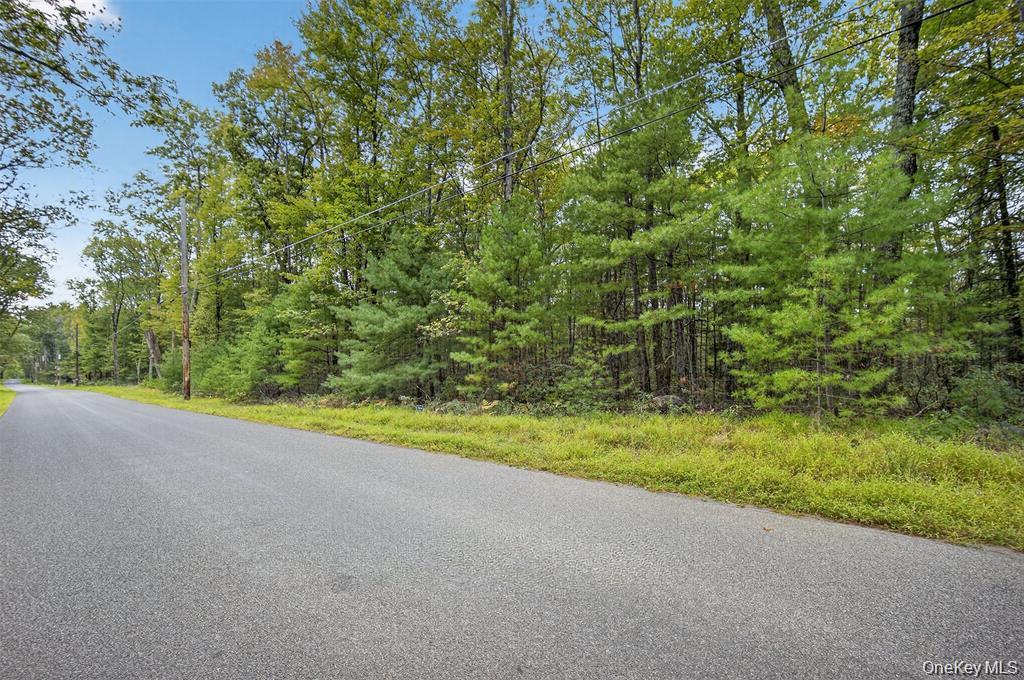 #7 photo, 154 Schwabie Turnpike, Kerhonkson , NY 12446