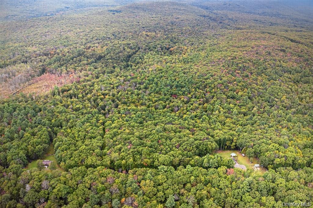 #8 photo, 154 Schwabie Turnpike, Kerhonkson , NY 12446