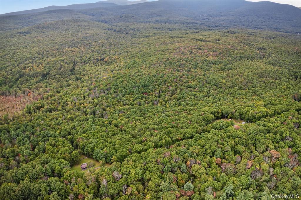 #9 photo, 154 Schwabie Turnpike, Kerhonkson , NY 12446