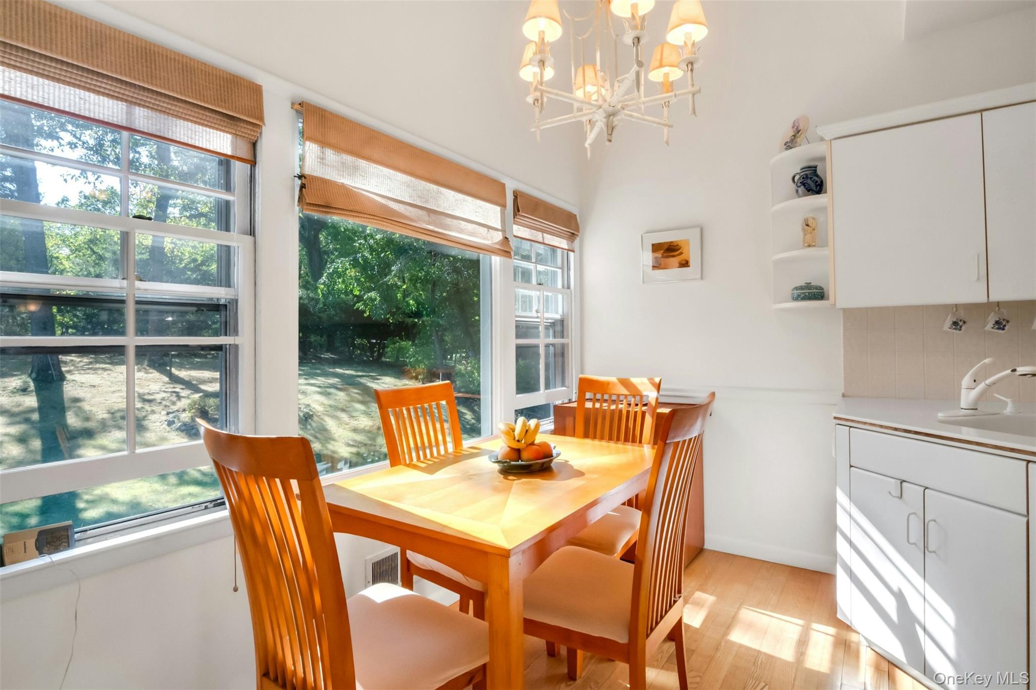 #9 photo, 95 Emerson Avenue, New Rochelle , NY 10801