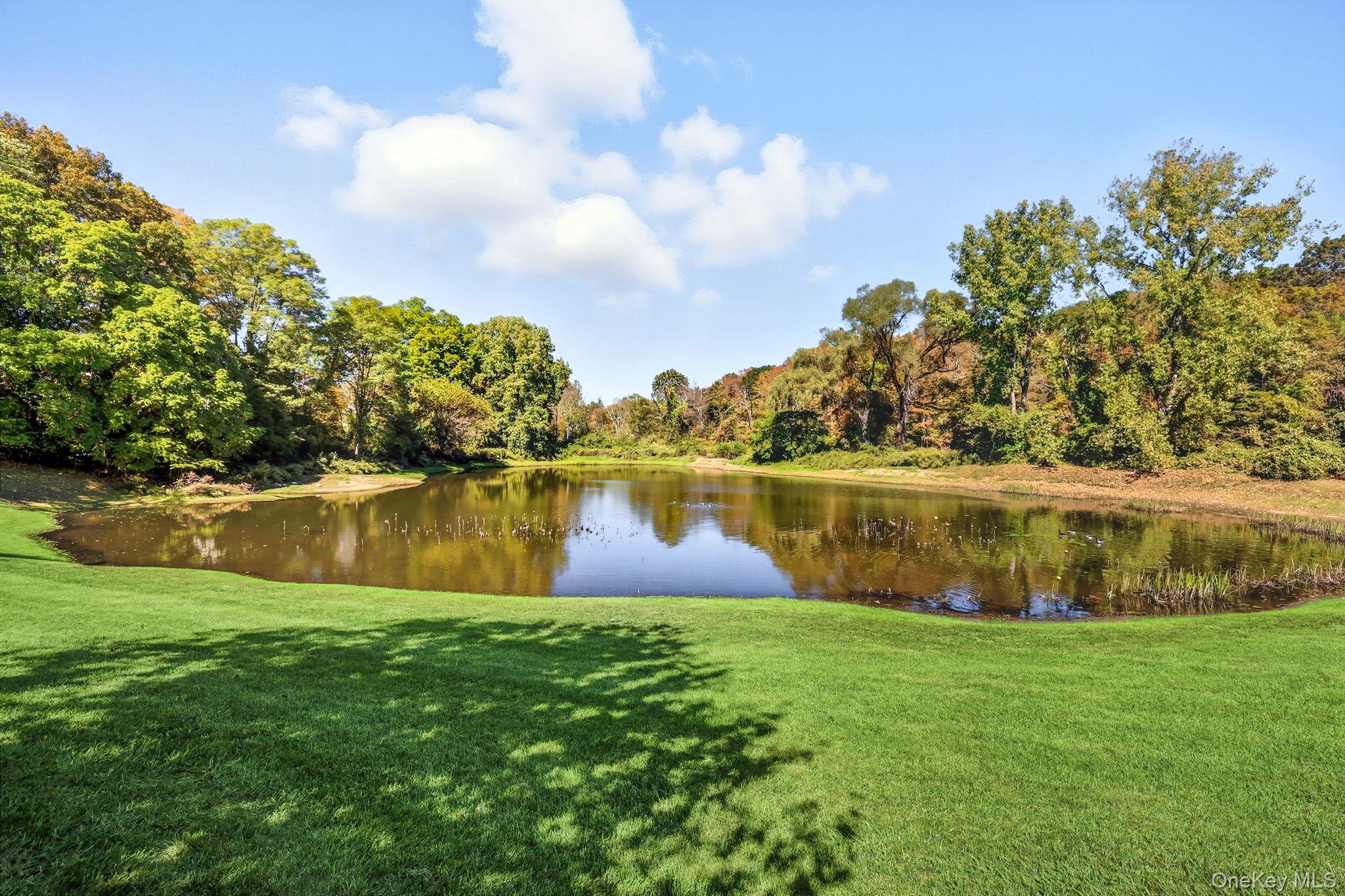 #19 photo, 84 Krystal Drive, Somers , NY 10589