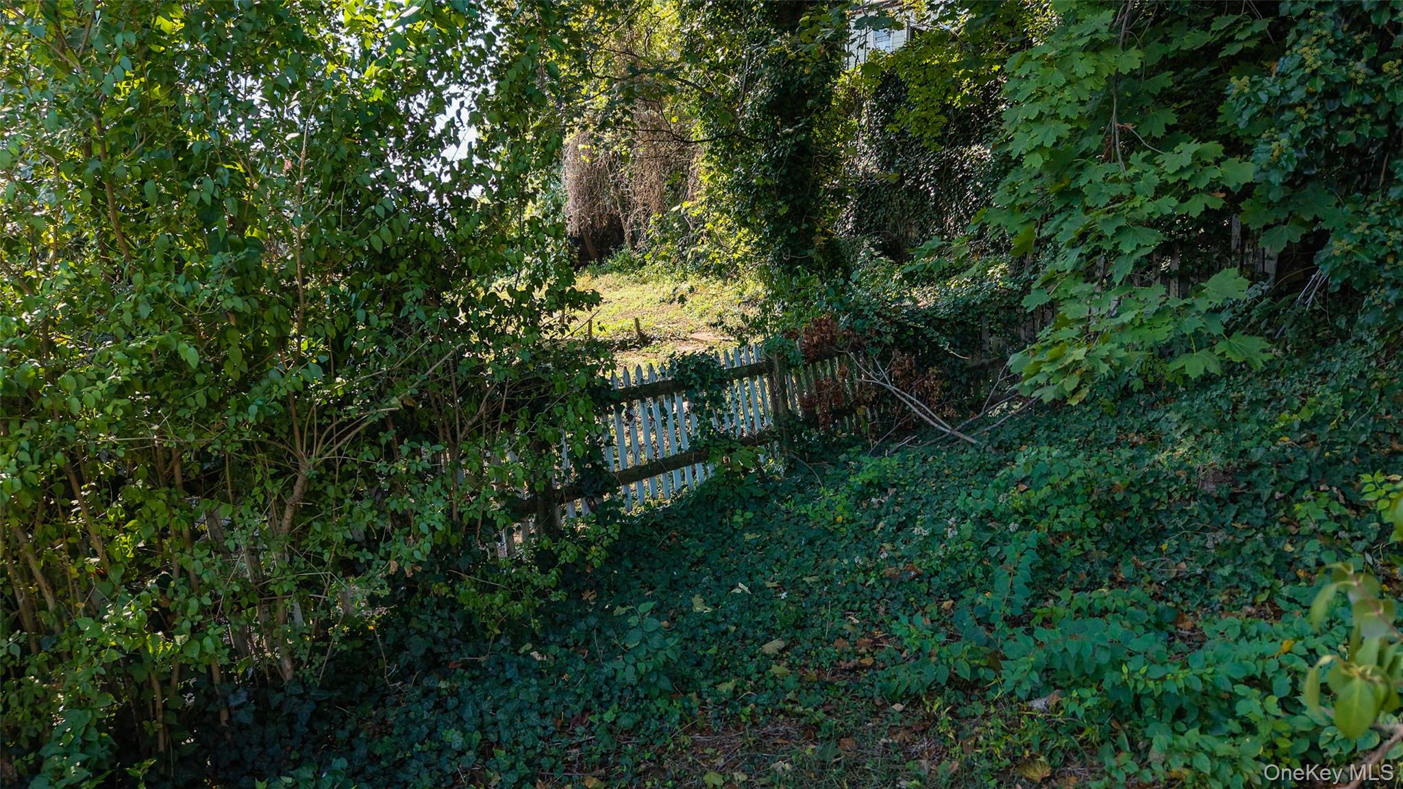 #19 photo, 30 Claremont Place, Mount Vernon , NY 10553