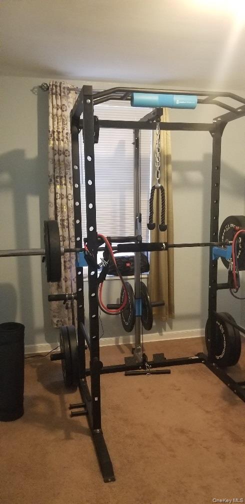 #14 photo, 2140 Knapp Street, Brooklyn , NY 11229