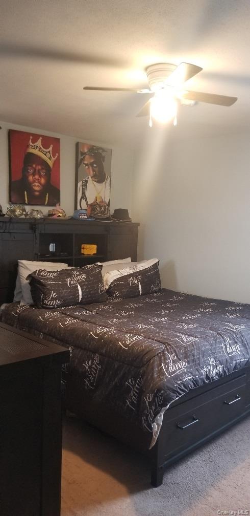 #17 photo, 2140 Knapp Street, Brooklyn , NY 11229