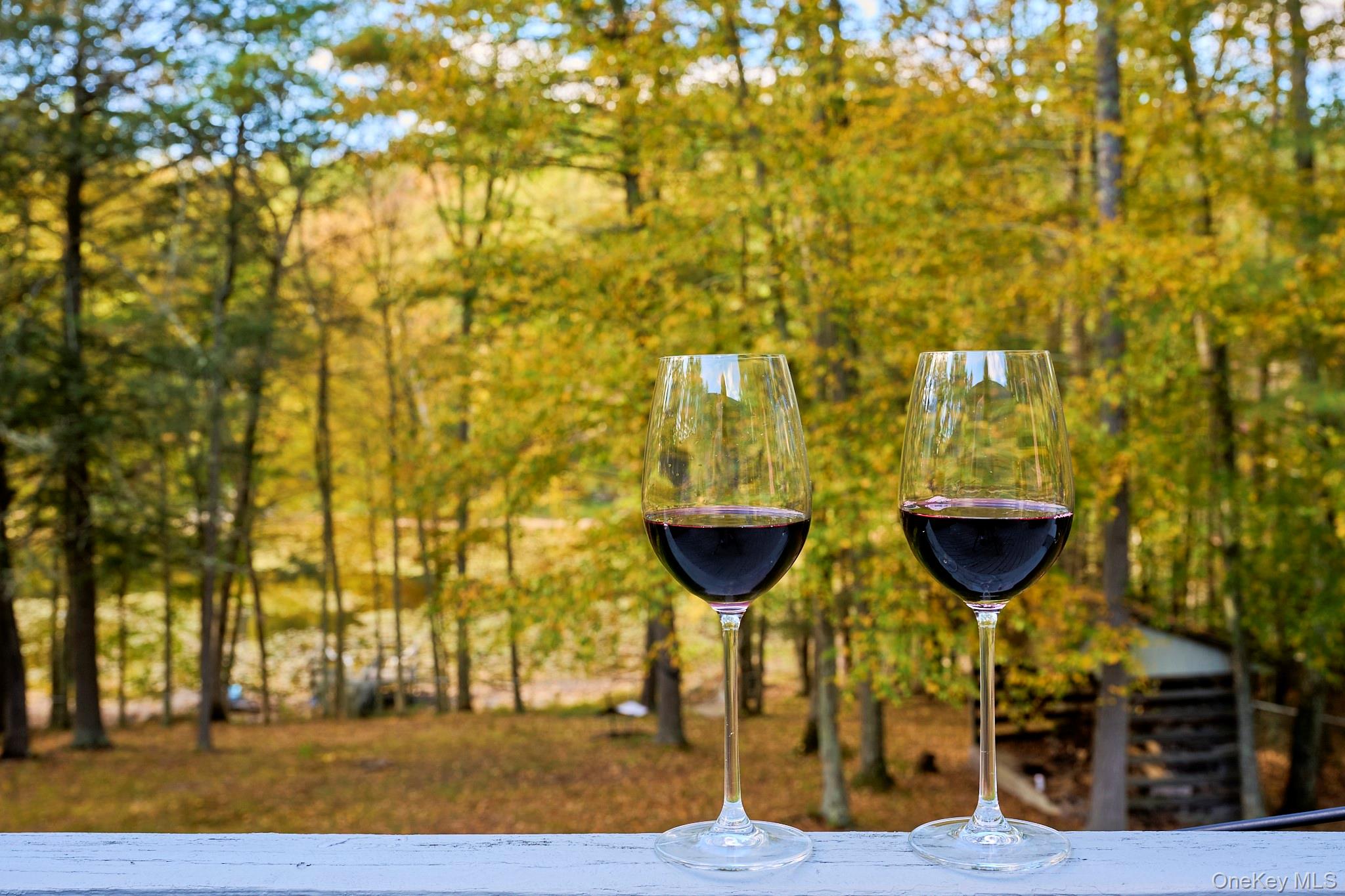 #10 photo, 39 Pitio Road, Glen Spey , NY 12737