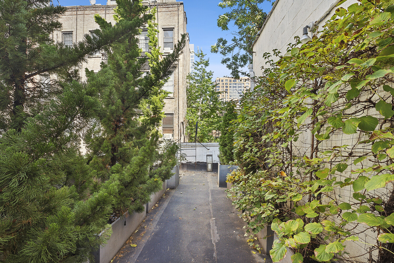 #7 photo, 209 E 31ST Street, Kips Bay , NY 10016