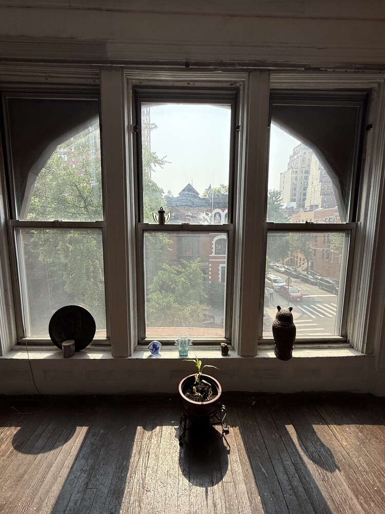 #5 photo, 123 MANHATTAN Avenue, Manhattan Valley , NY 10025