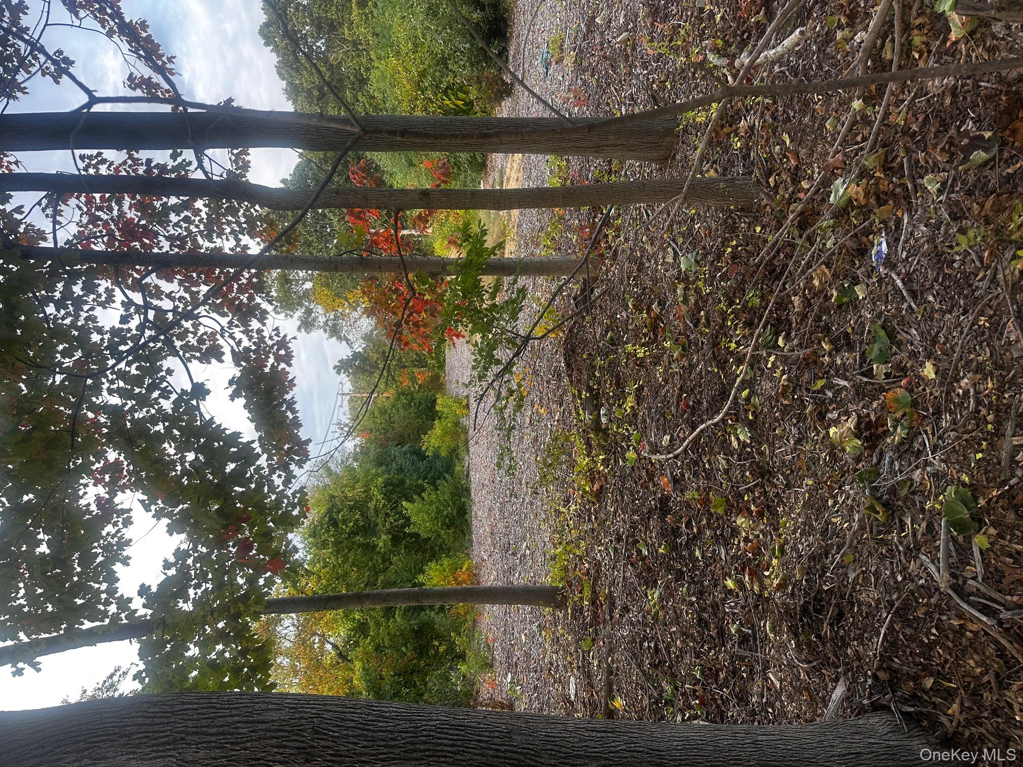 #3 photo, Joshuas Path, Central Islip , NY 11722