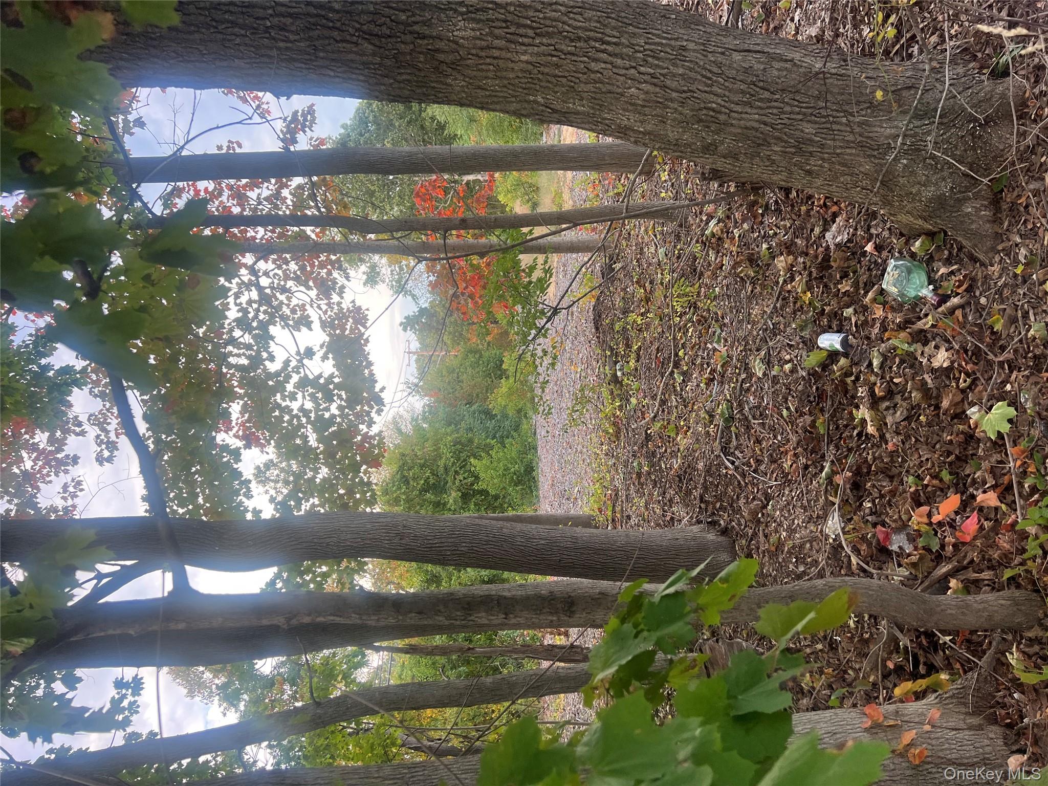 #8 photo, Joshuas Path, Central Islip , NY 11722