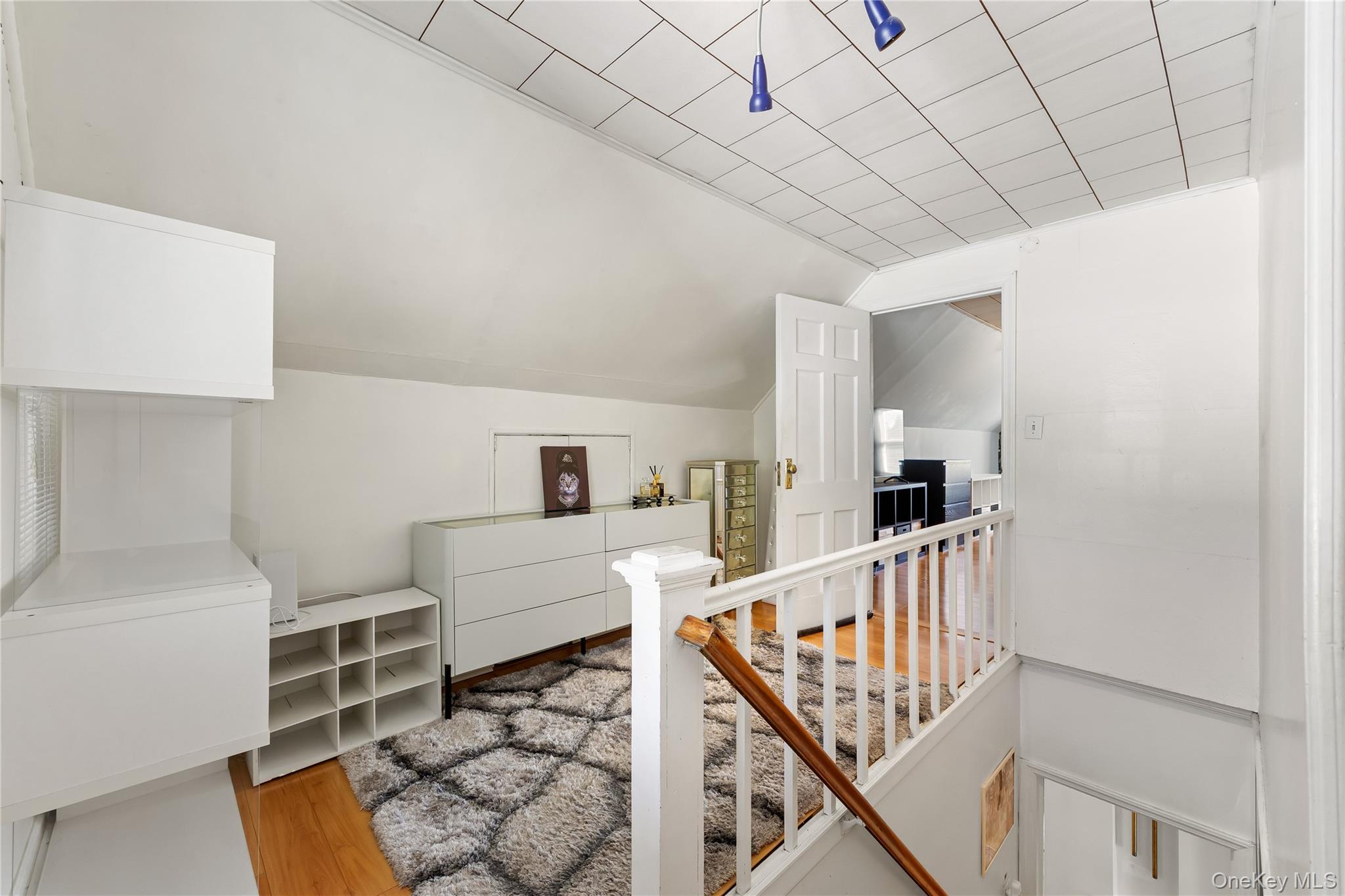 #10 photo, 38 primrose Drive, 长岛 New Hyde Park , NY 11040