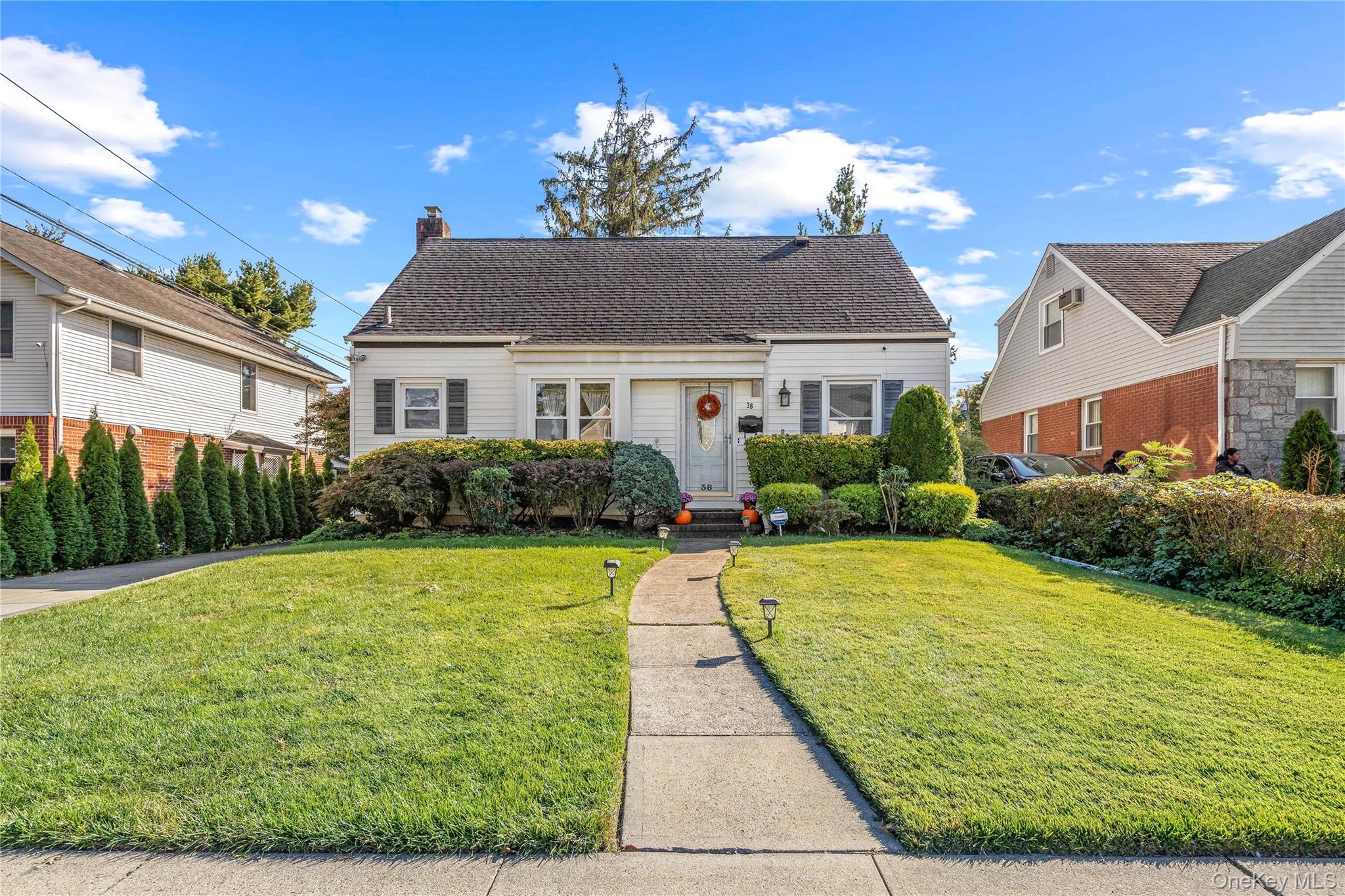 #17 photo, 38 primrose Drive, 长岛 New Hyde Park , NY 11040