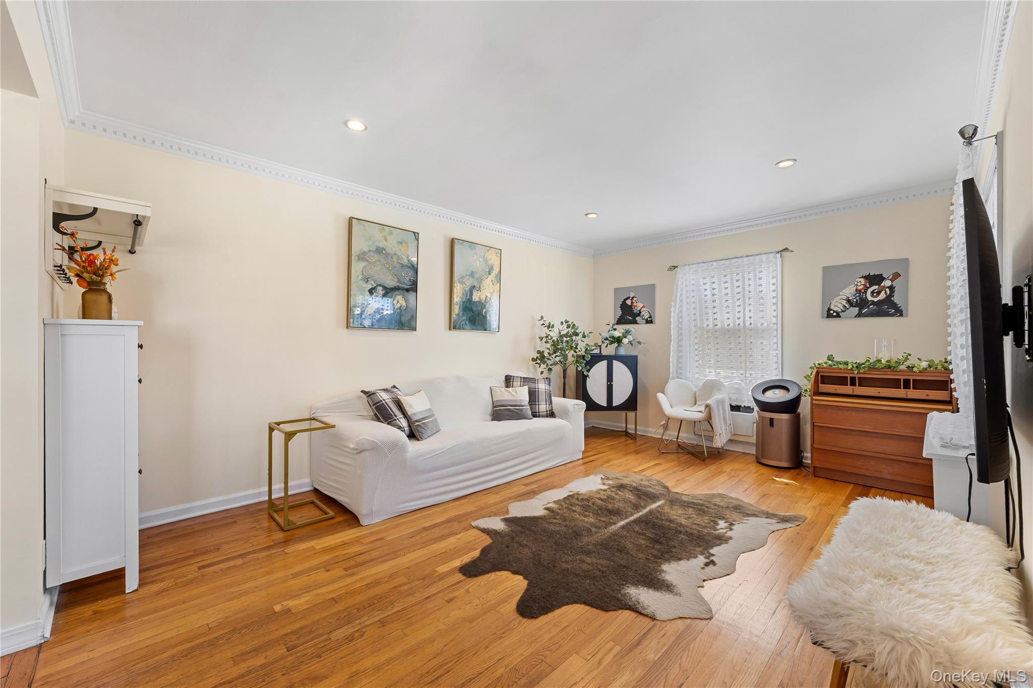 #2 photo, 38 primrose Drive, 长岛 New Hyde Park , NY 11040