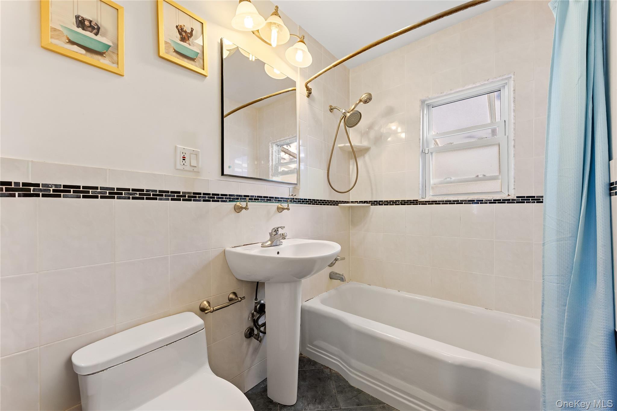 #8 photo, 38 primrose Drive, 长岛 New Hyde Park , NY 11040