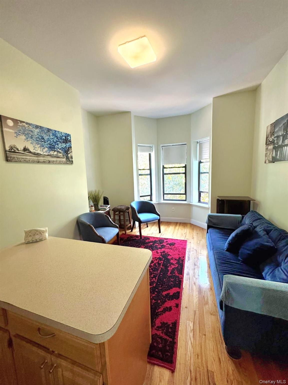 #8 photo, 1231 Putnam Avenue, Brooklyn , NY 11221