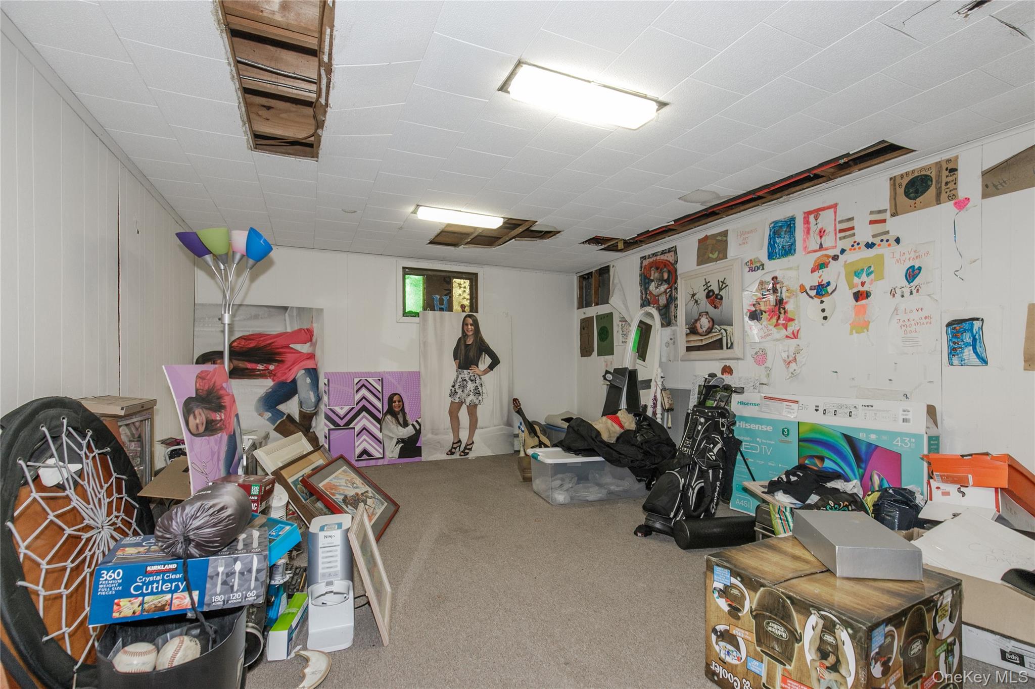 #19 photo, 61 Mitchell Avenue, Plainview , NY 11803