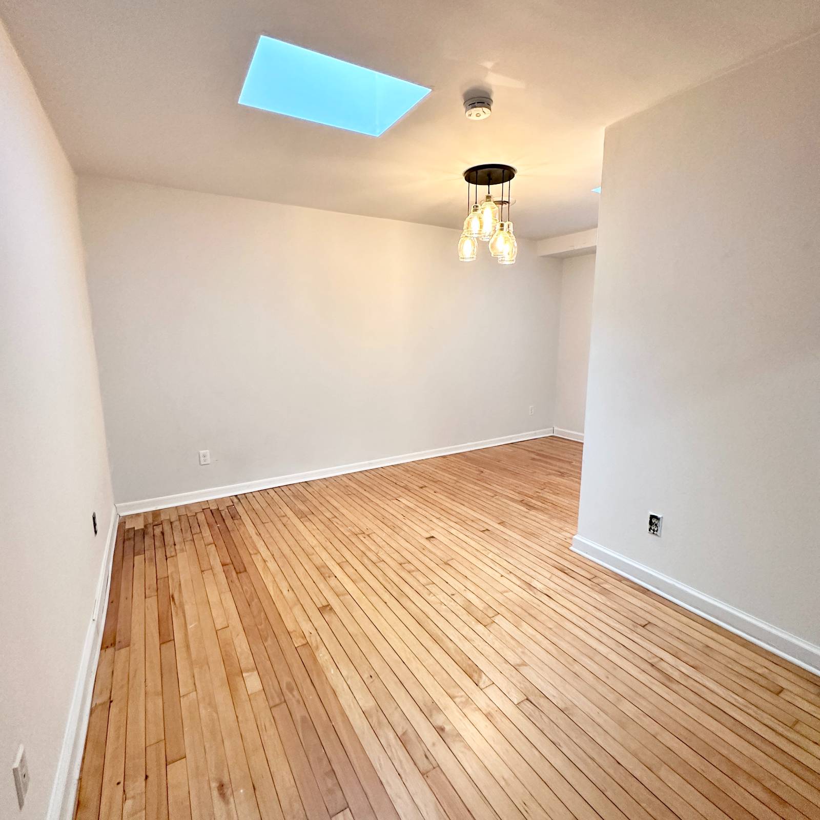 #13 photo, 229 Elm St, Albany , NY 12202