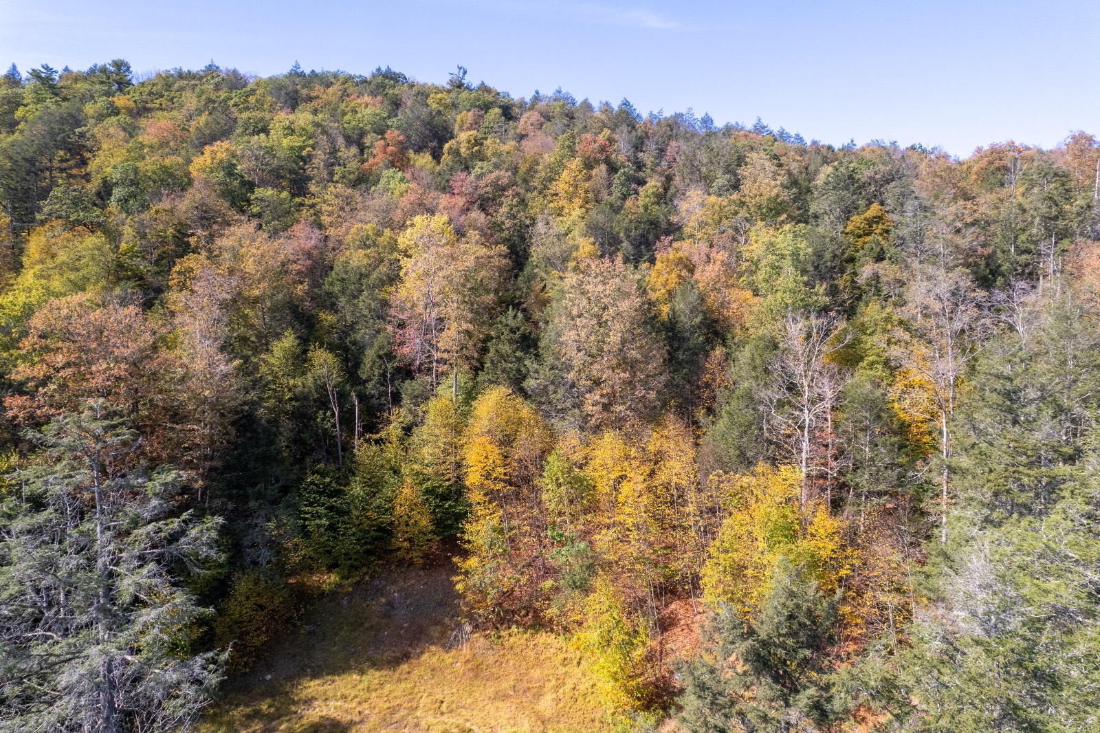 #10 photo, 0 Wheeler Hollow, Hancock , NY 13783