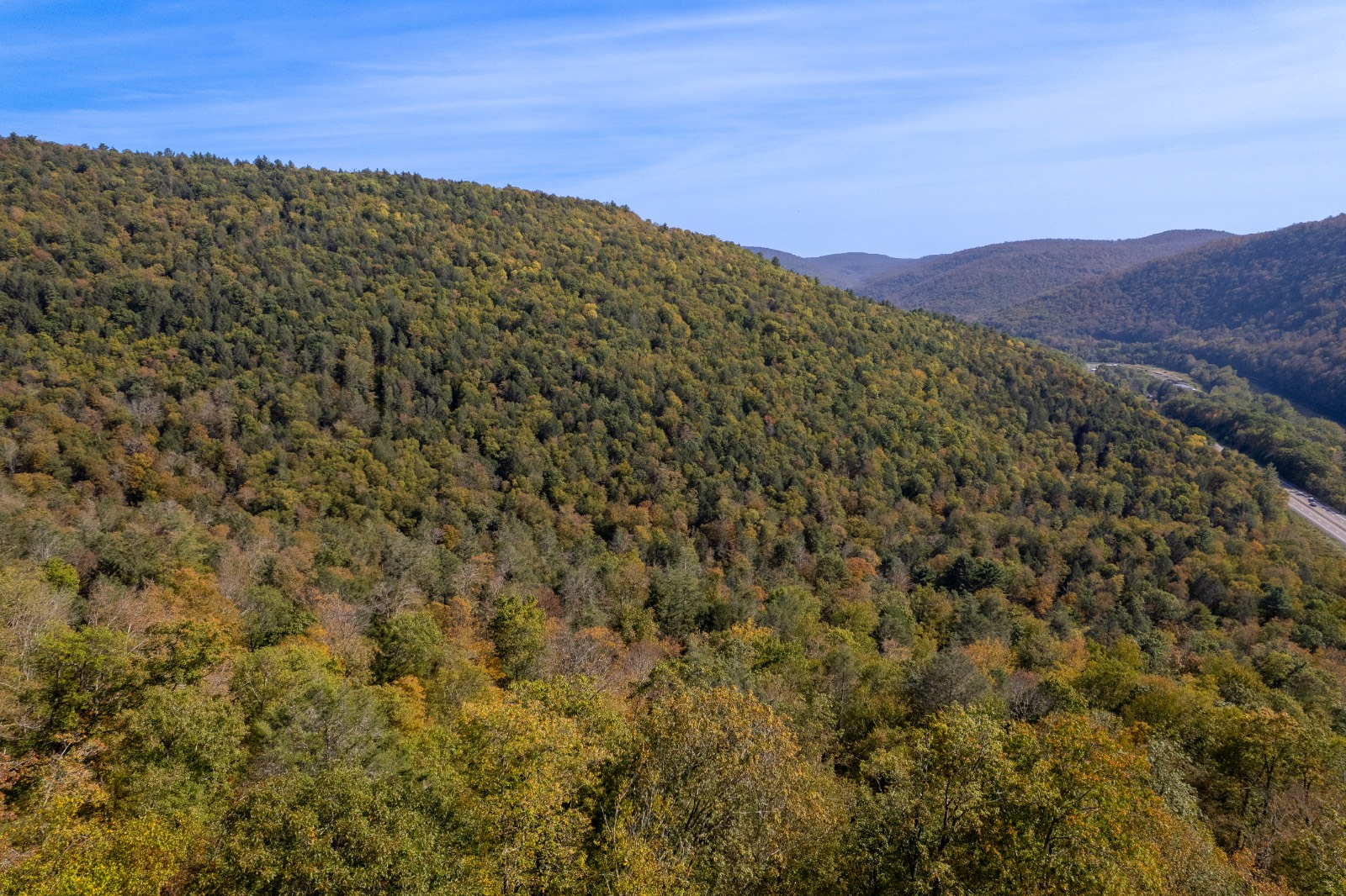 #12 photo, 0 Wheeler Hollow, Hancock , NY 13783