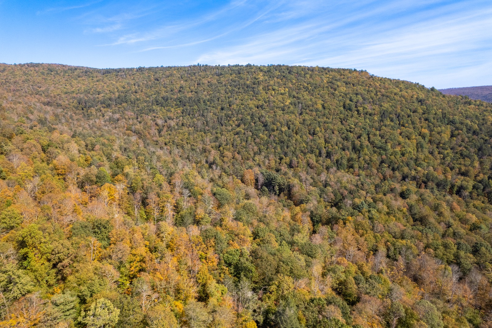 #14 photo, 0 Wheeler Hollow, Hancock , NY 13783