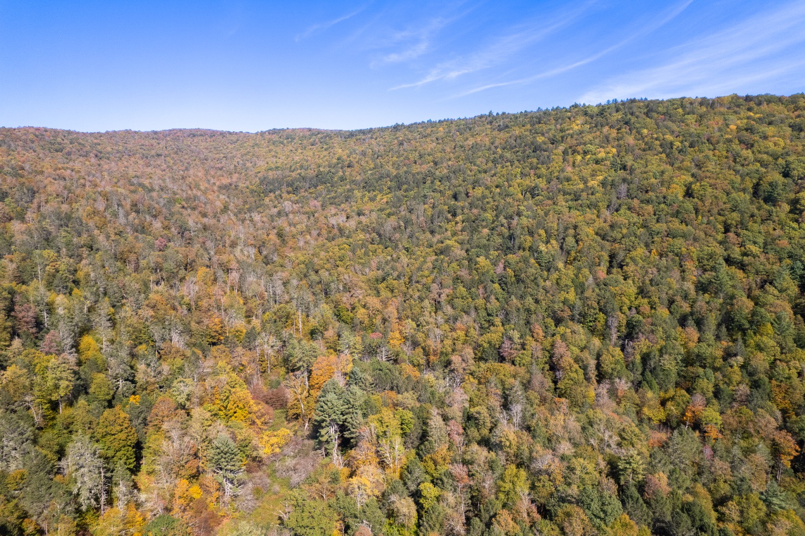 #17 photo, 0 Wheeler Hollow, Hancock , NY 13783