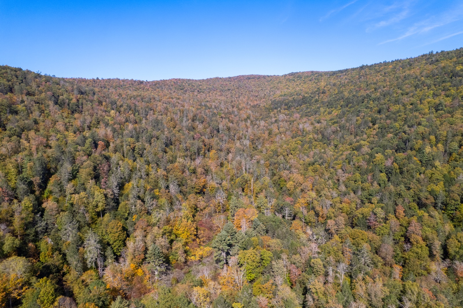 #18 photo, 0 Wheeler Hollow, Hancock , NY 13783