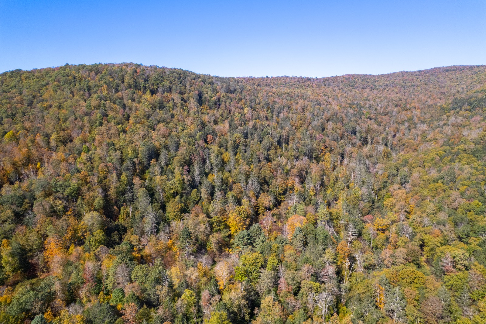 #19 photo, 0 Wheeler Hollow, Hancock , NY 13783