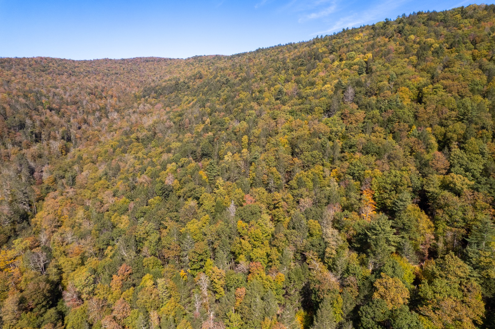 #20 photo, 0 Wheeler Hollow, Hancock , NY 13783