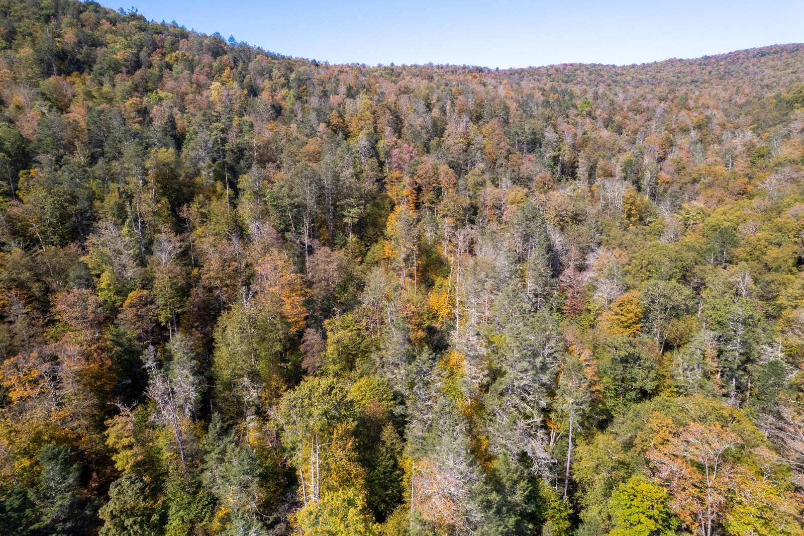 #21 photo, 0 Wheeler Hollow, Hancock , NY 13783