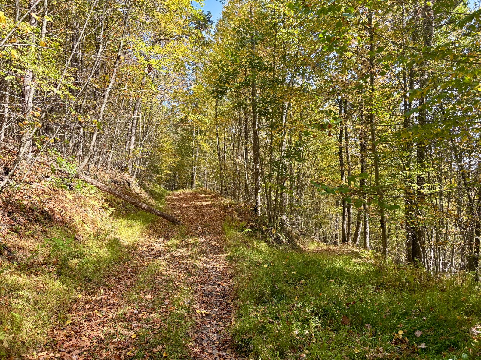 #24 photo, 0 Wheeler Hollow, Hancock , NY 13783