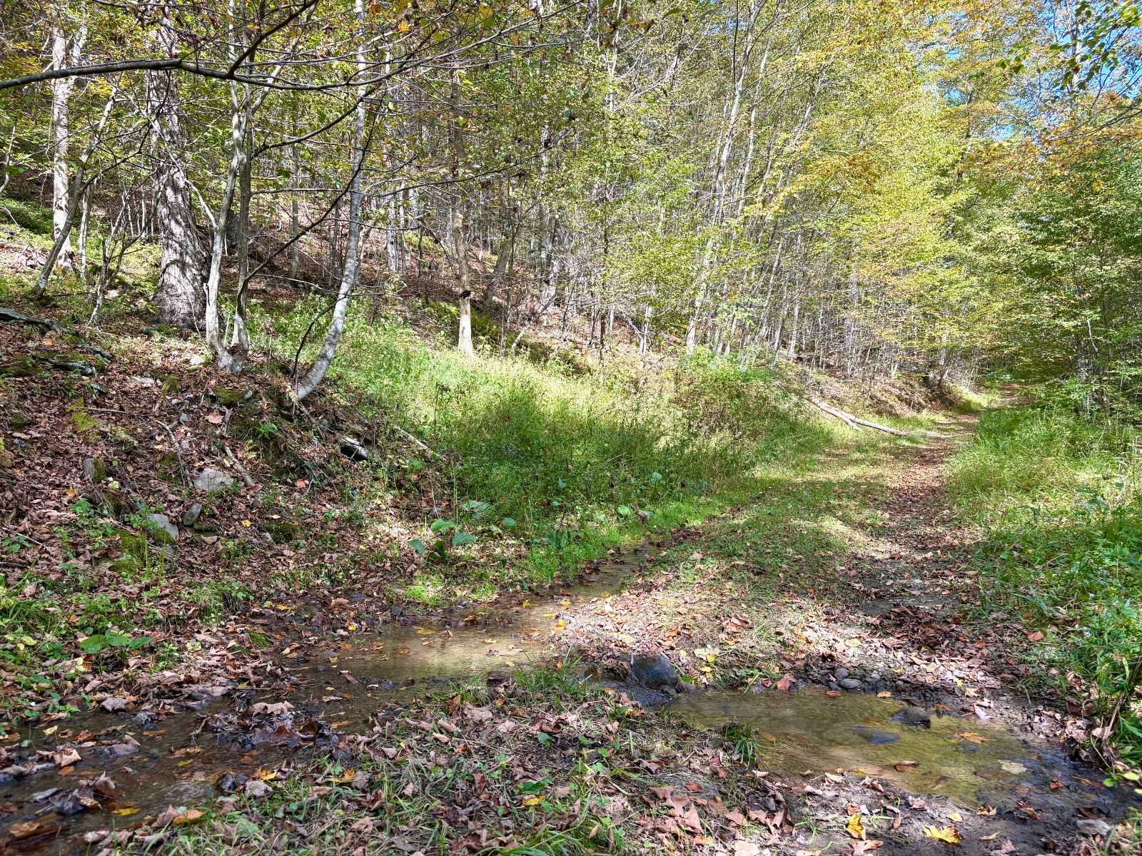 #25 photo, 0 Wheeler Hollow, Hancock , NY 13783