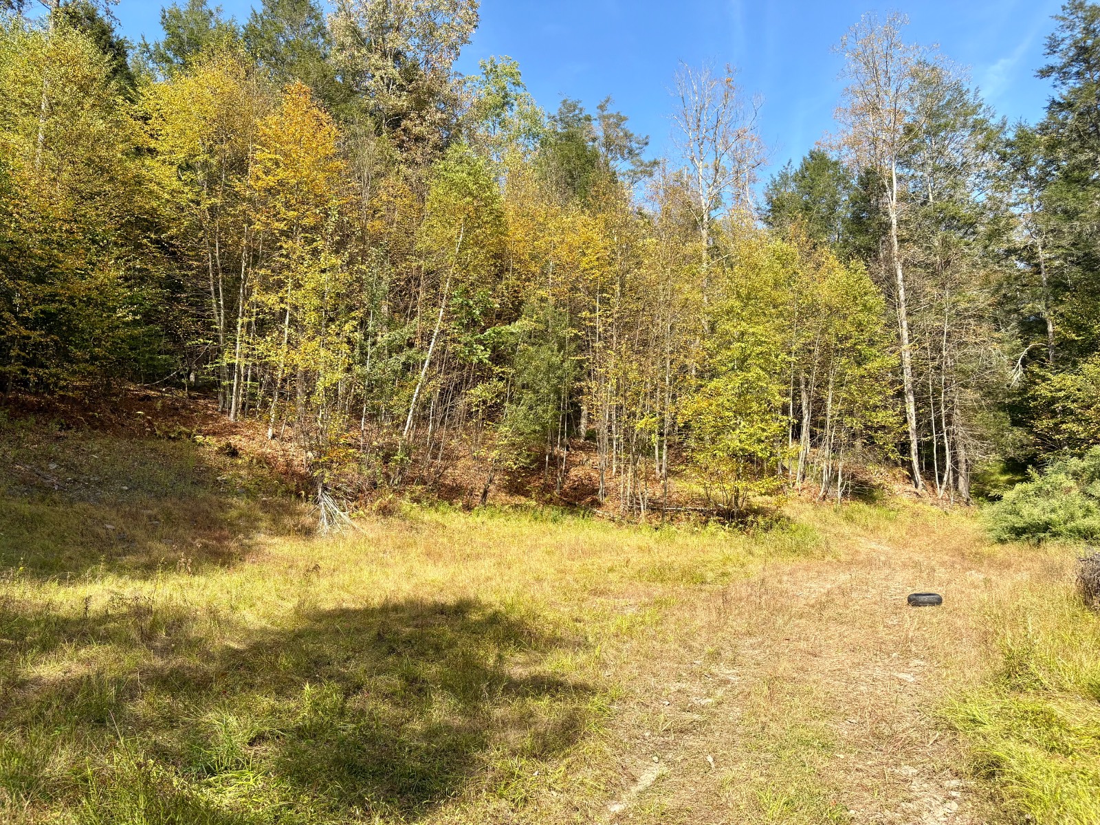 #27 photo, 0 Wheeler Hollow, Hancock , NY 13783