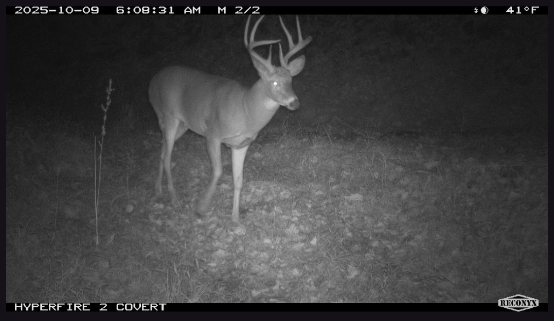 #3 photo, 0 Wheeler Hollow, Hancock , NY 13783