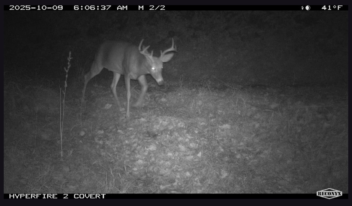 #4 photo, 0 Wheeler Hollow, Hancock , NY 13783