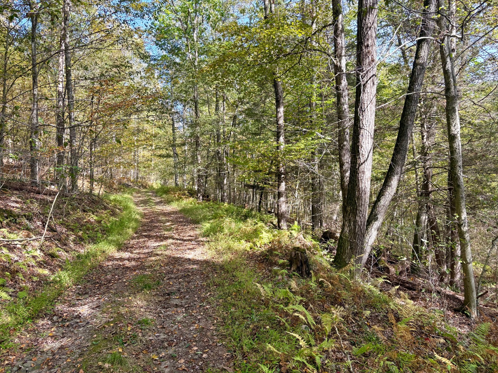 #6 photo, 0 Wheeler Hollow, Hancock , NY 13783