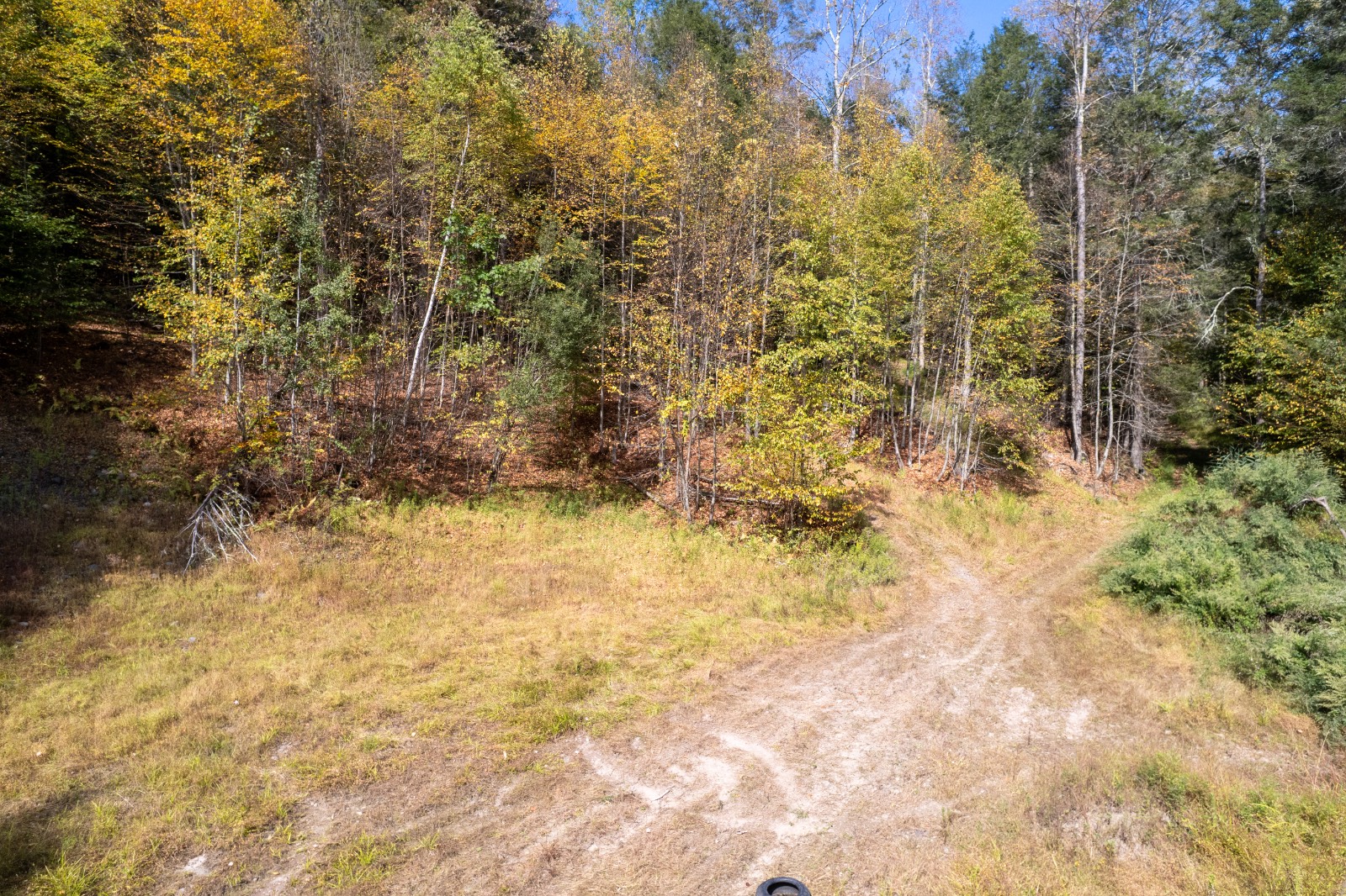 #8 photo, 0 Wheeler Hollow, Hancock , NY 13783