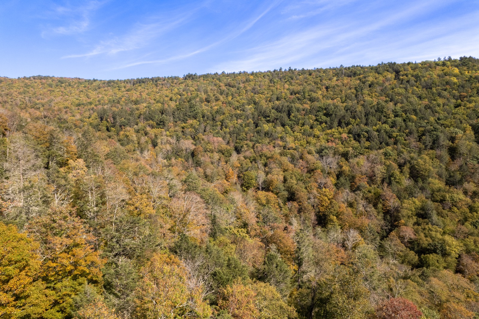 #9 photo, 0 Wheeler Hollow, Hancock , NY 13783