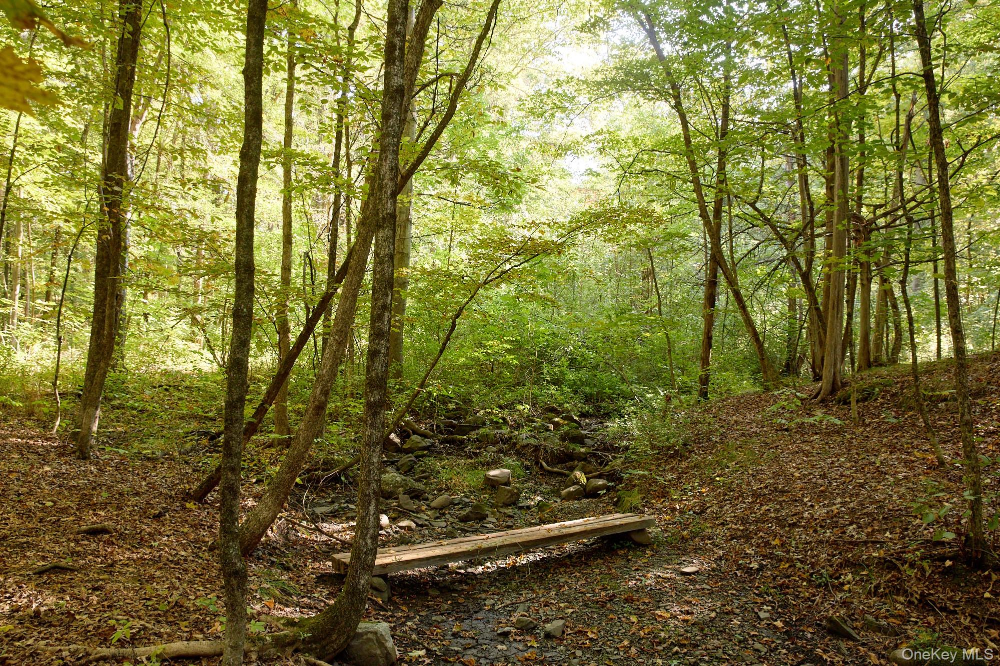 #10 photo, 46 Shivertown, New Paltz , NY 12561