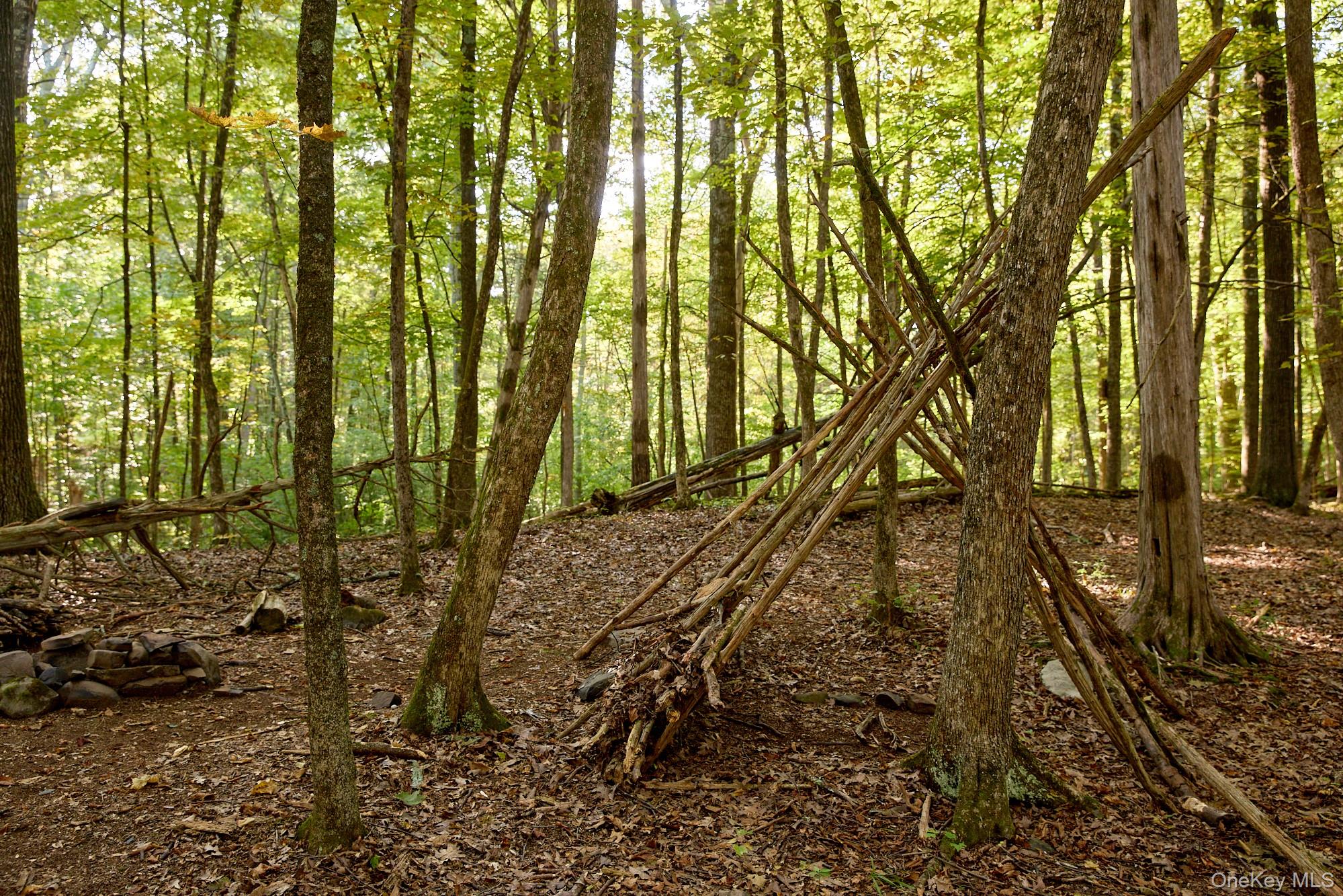 #11 photo, 46 Shivertown, New Paltz , NY 12561